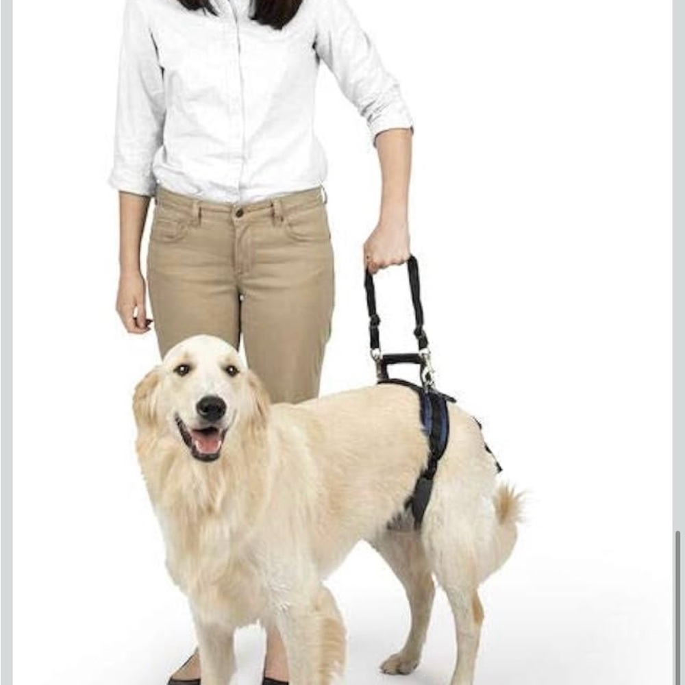 PetSafe CareLift Full Body Lifting Harness‎ Large 70-130lbs Dog Mobility NIB .